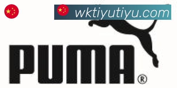 悟空体育合作伙伴